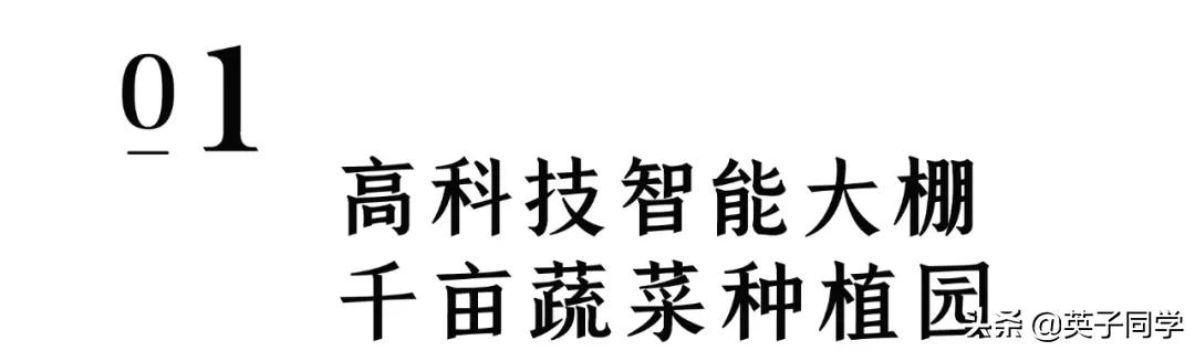 南昌生态谷智慧农场采摘,南昌亲子采摘踏青