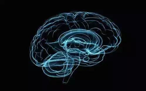 抑郁症是神经出现了问题吗,抑郁了是不是大脑感知能力下降了