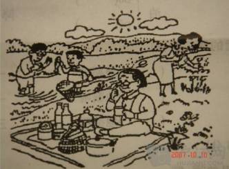 二年级看图说话写话训练,二年级看图写话图片及范文