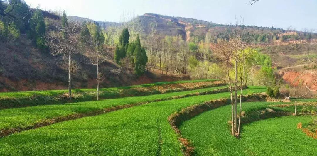 距离西安近的自然风景区,西安自驾游古梯田