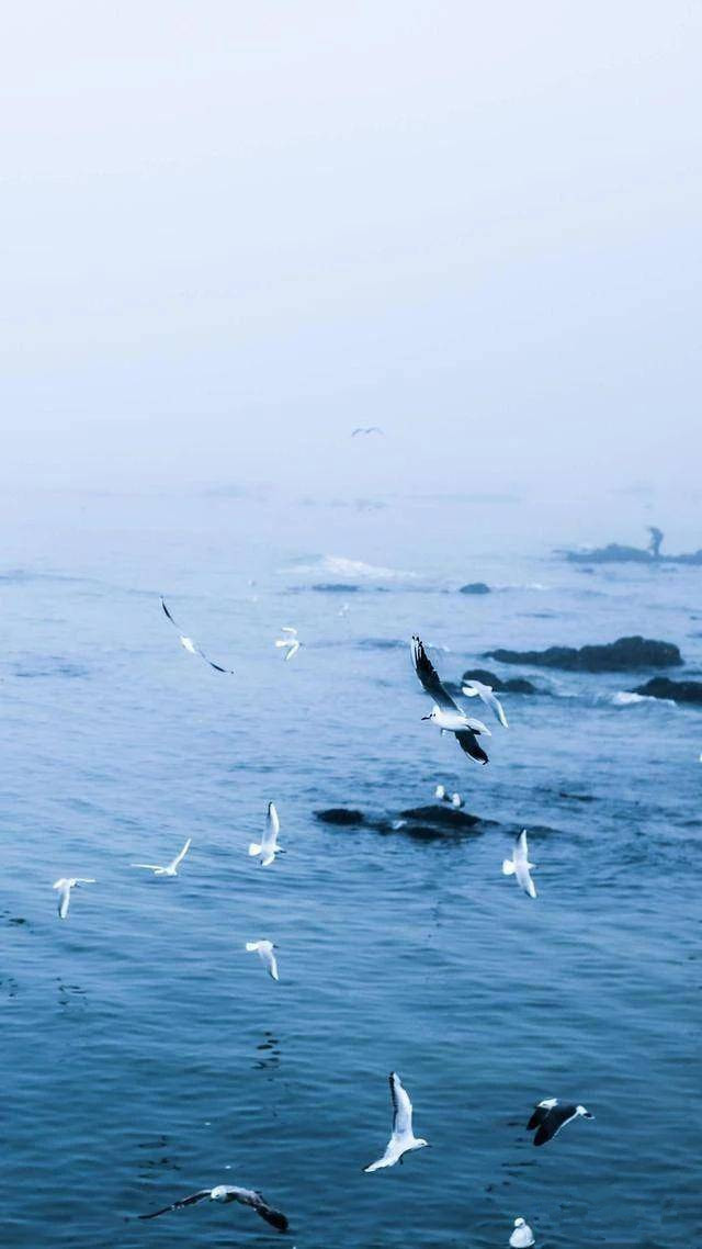 高清风景壁纸无水印全屏壁纸,风景壁纸手机壁纸