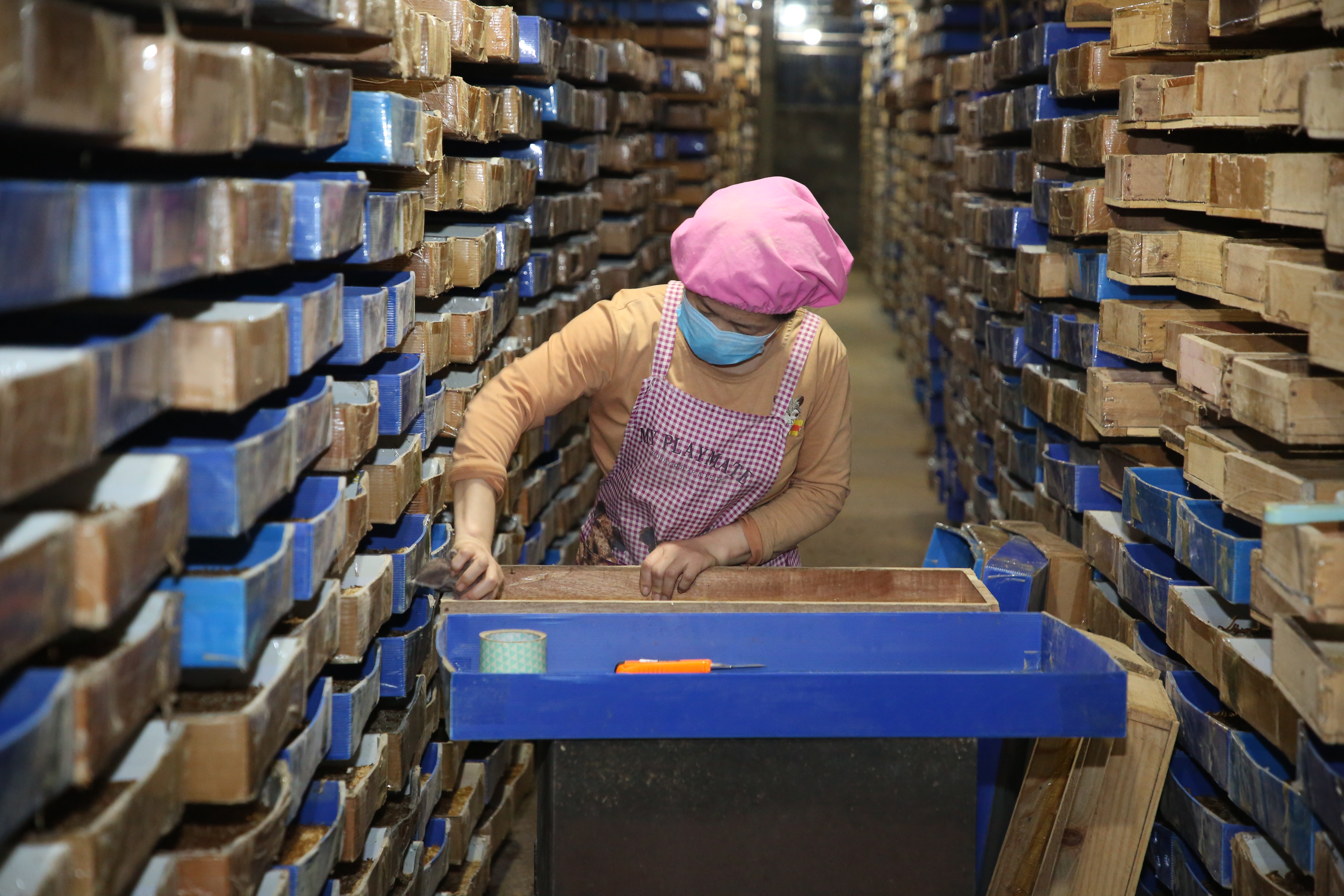 大学毕业生创业典型人物事迹,学生成功典型创业人物事迹