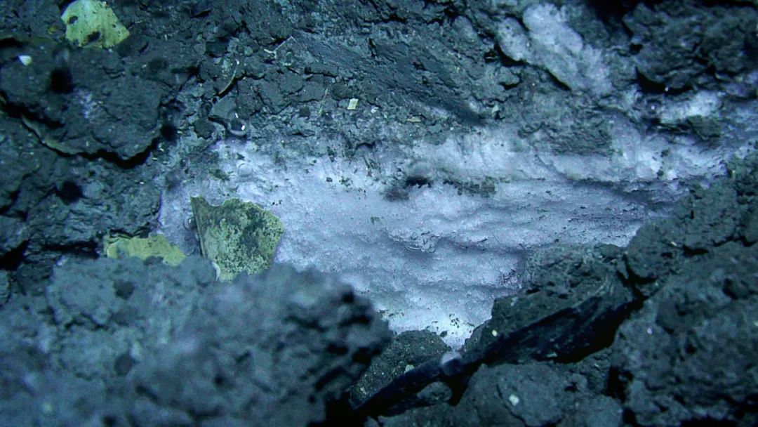 “冷泉”——深海荒原中的绿洲，发现可燃冰的信号