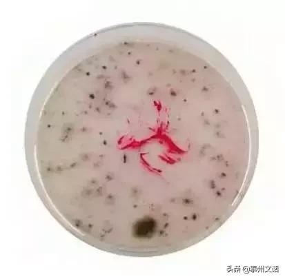 这些化妆品，时间放长了等于毒药！快扔掉