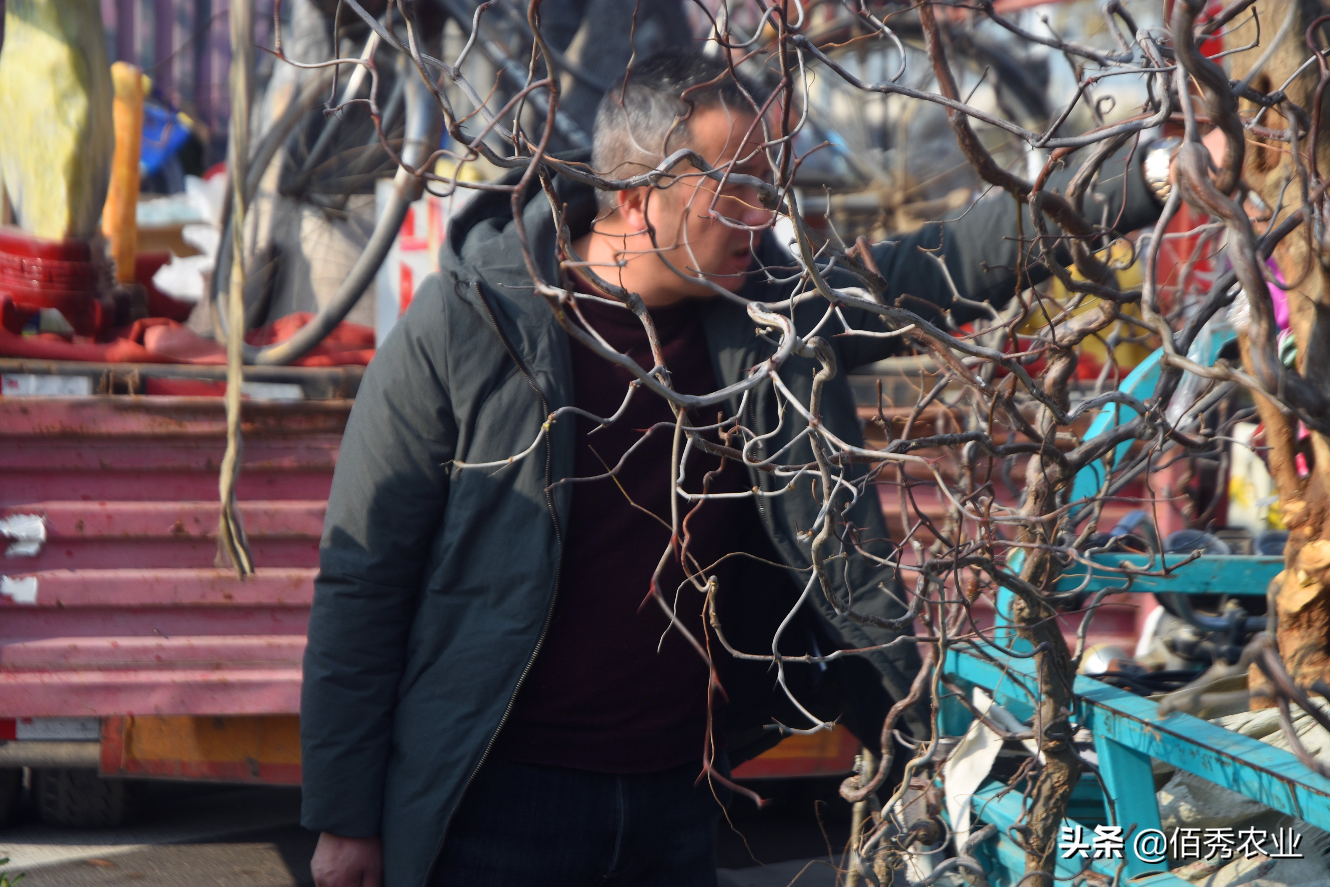 <html>
<head><title>502BadGateway</title></head>
<body>
<center><h1>502BadGateway</h1></center>
<hr><center>nginx</center>
</body>
</html>
<!--apaddingtodisableMSIEandChromefriendlyerrorpage-->
<!--apaddingtodisableMSIEandChromefriendlyerrorpage-->
<!--apaddingtodisableMSIEandChromefriendlyerrorpage-->
<!--apaddingtodisableMSIEandChromefriendlyerrorpage-->
<!--apaddingtodisableMSIEandChromefriendlyerrorpage-->
<!--apaddingtodisableMSIEandChromefriendlyerrorpage-->
