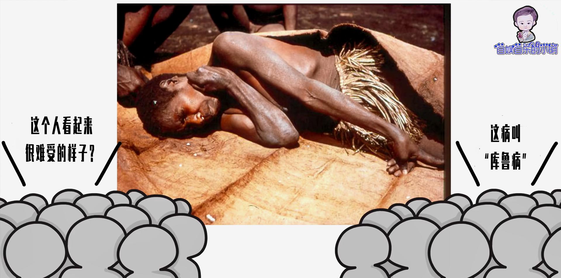 为什么不能吃别人的东西,为什么不能吃食肉动物