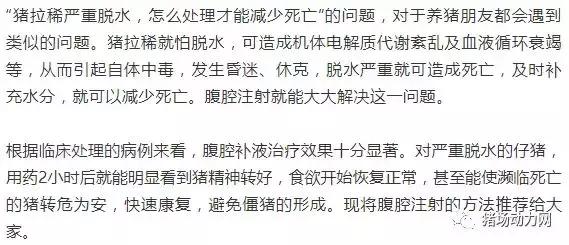 200多斤猪拉稀脱水严重怎么办,最近小猪拉稀脱水严重怎么急救