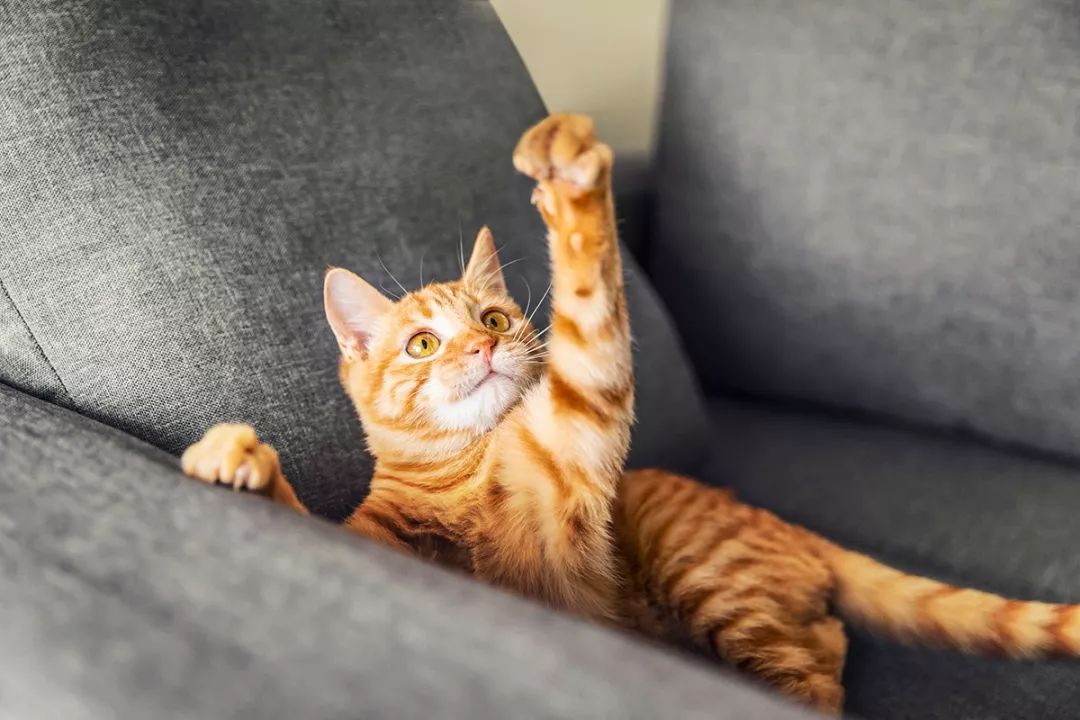 深圳富人日常生活真实记录,在深圳普通人最真实的生活状态