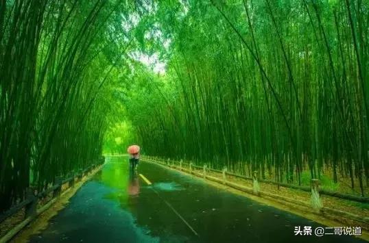 洛阳隐藏的好玩的地方,洛阳周边城市的山水景点