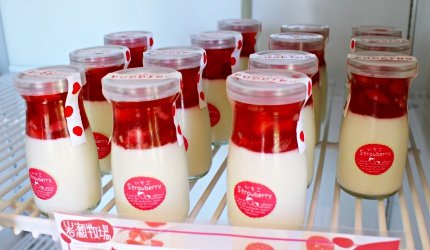 旭川机场,旭川机场到东京机场