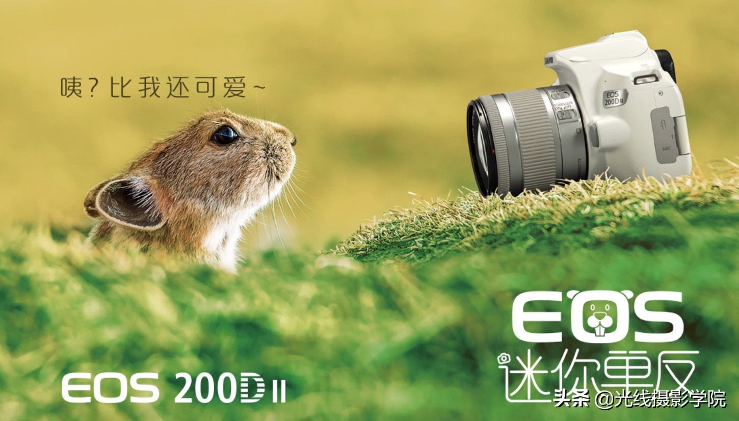 尼康相机行业衰退原因,尼康没落的原因