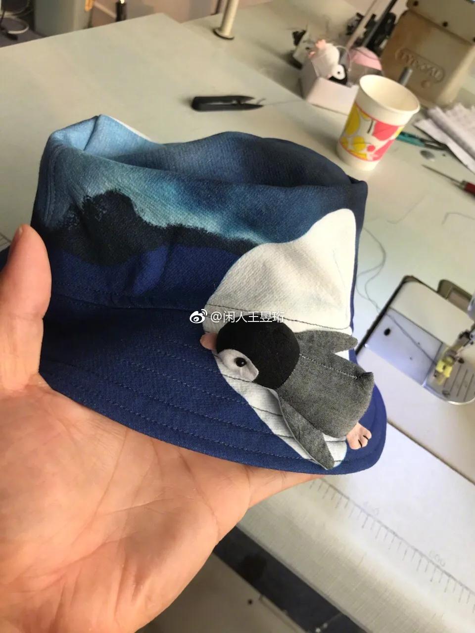 最强大脑王昱珩清华毕业后不上班,王昱珩上学经历