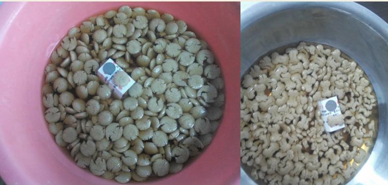 狗粮消化的正确方式,你们买的哪种狗粮实惠又有营养