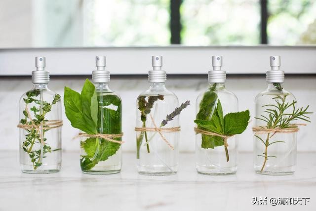 婆媳关系很融洽,婆媳与家庭相处的技巧