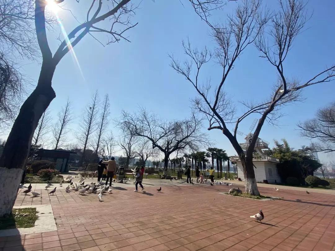 南京复工复产,硬核复工碧桂园