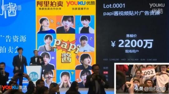 徐小平投资papi酱,徐小平papi酱股权结构