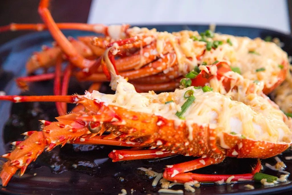 去奇妙的澳大利亚看一看....