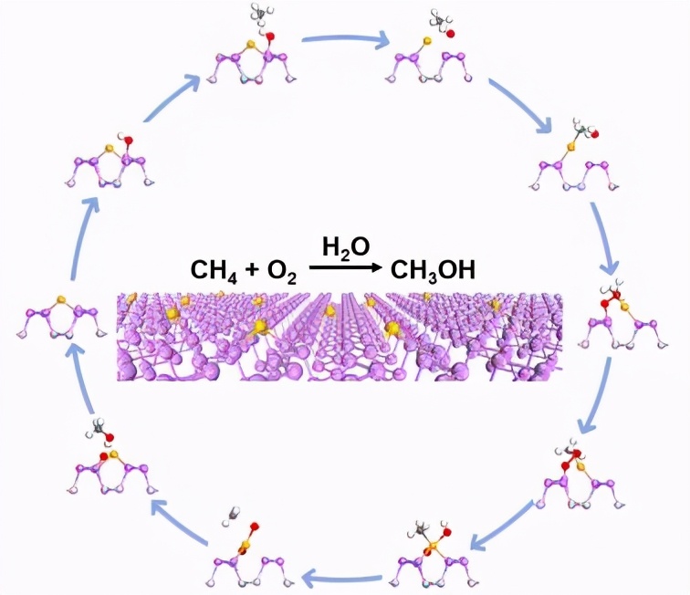 中国科学技术大学丨近期科研成果速览（下）