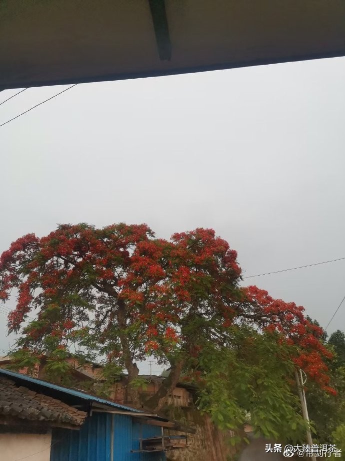 从王自如看格力落寞,从传播学的角度聊聊王自如