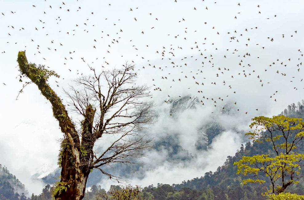 程斌摄影师,程斌摄影师作品