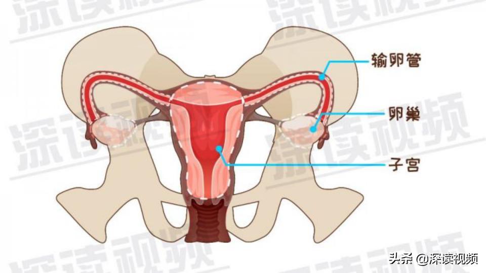宫外孕还来大姨妈怎么回事,陈旧性宫外孕是怎么回事