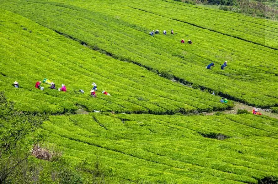 北仑摩天轮俯瞰北仑,可俯瞰北仑