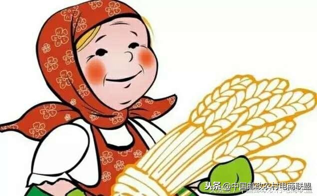 电商进农家怎么样,电商进农村项目效益