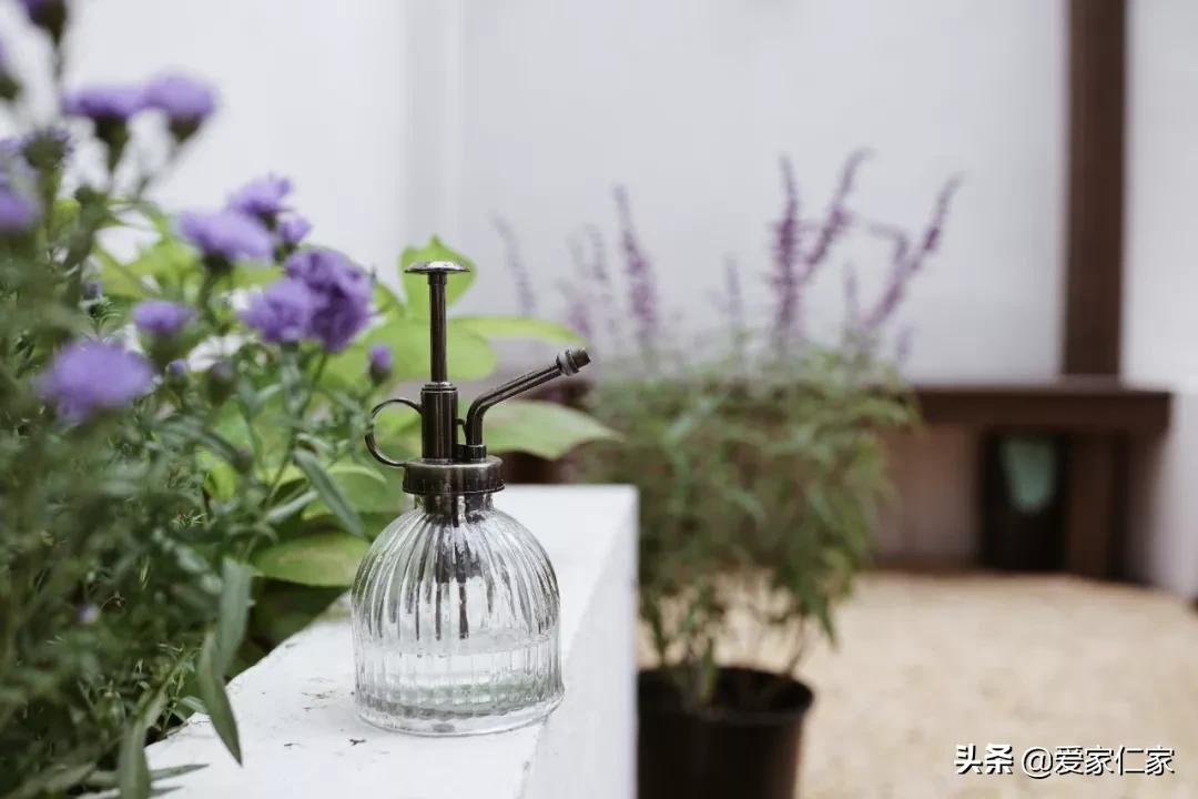 她买下32㎡上海老旧学区房，为女儿打造小桃园，20㎡超舒适大庭院