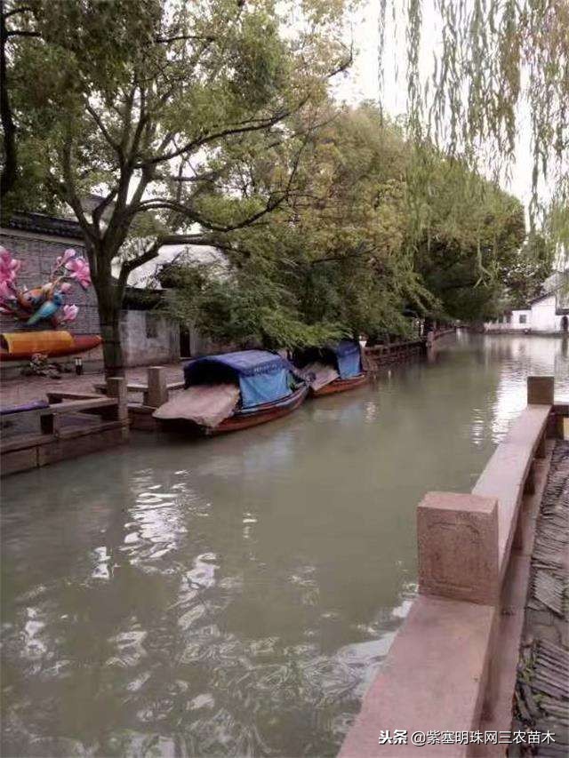 蓟州紫塞明珠农家院,紫塞明珠丰宁农家乐