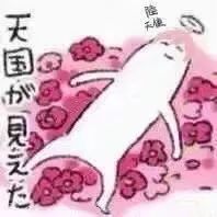 飞轮海5566成员名称,5566飞轮海同台