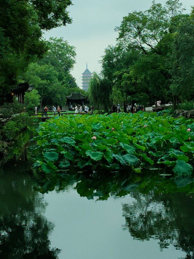 苏州拙政园为什么有名,康熙为什么不去拙政园