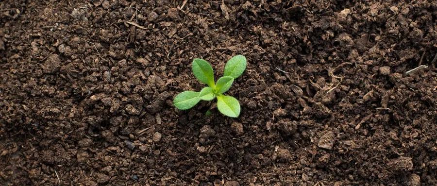 水产养殖em菌的正确使用方法,水产养殖em菌与乳酸菌有什么区别