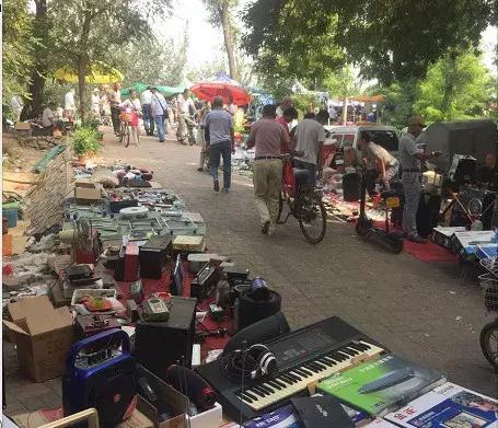 即将消失的花鸟鱼虫市场,天津消失的鱼虫市场