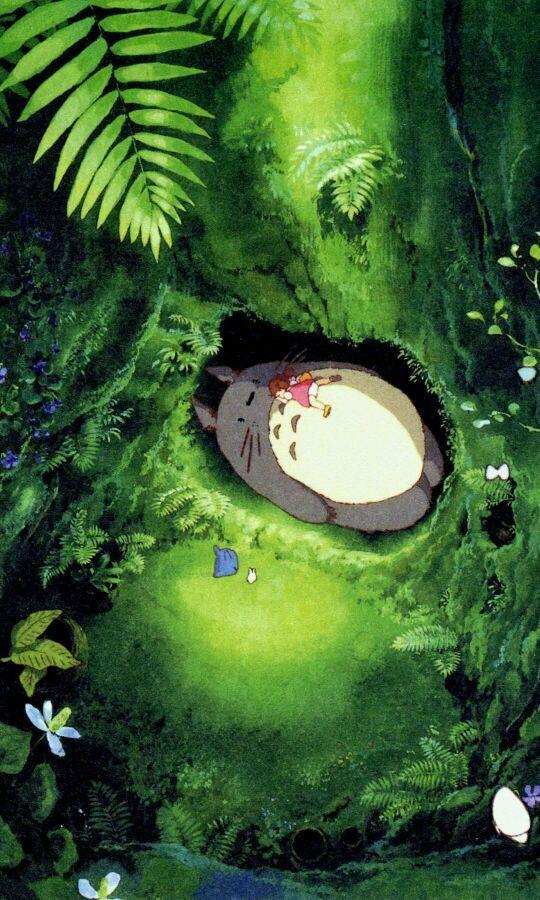 龙猫这个故事讲了什么,龙猫怎么和宫崎骏的经历联系起来