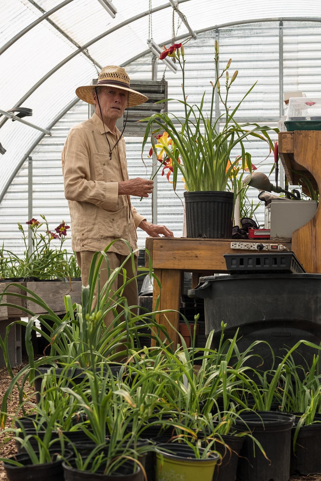 伊斯特伍德成经典传奇,伊斯特伍德回到未来