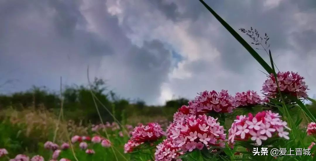 晋城有个啥山,晋城有什么山有名