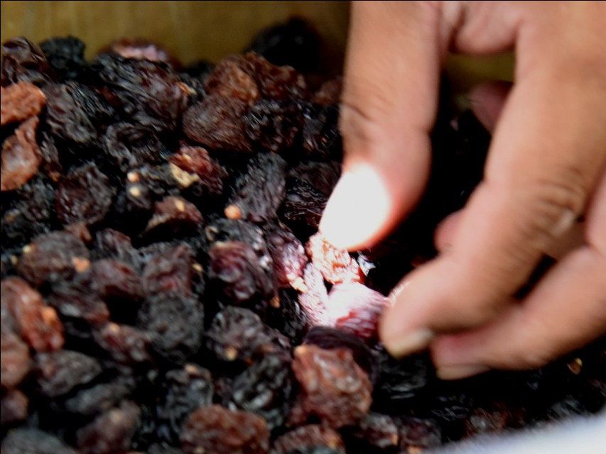 想吃葡萄一不留神掉海底了