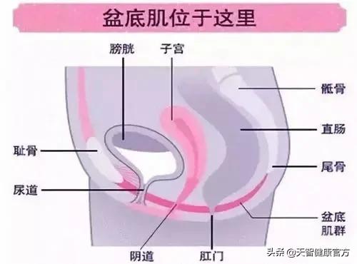 产后妈妈难以言说的痛：新生命的到来带来了欢乐，还带来了尿*禁失**