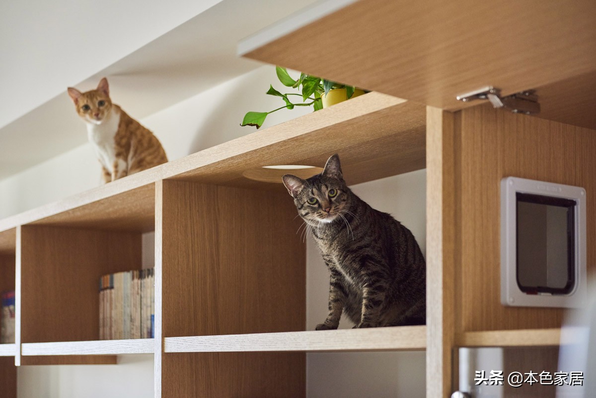 一个人住三室一厅装修,一个人住的100平一室一厅装修