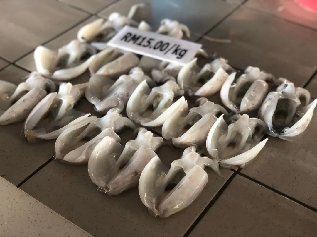 出不了门的心情,出不了门的日子让人心绪难平