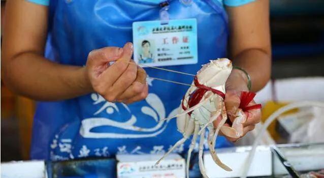 三亚火车头海鲜批发市场,三亚万人火车头海鲜广场