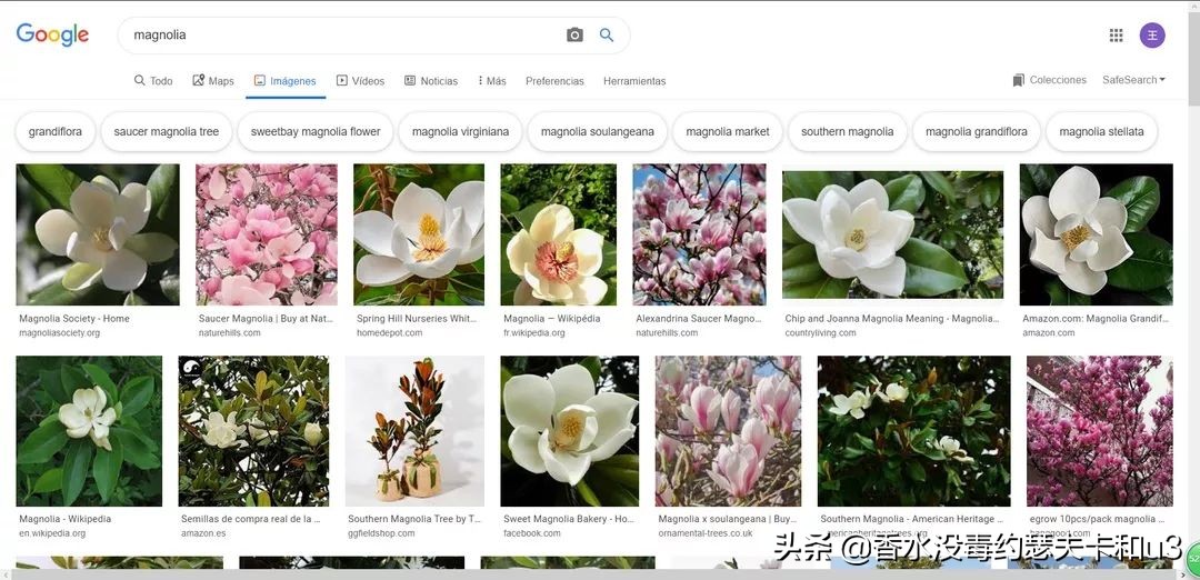 宝格丽香水：经典“三茶”后真无好香
