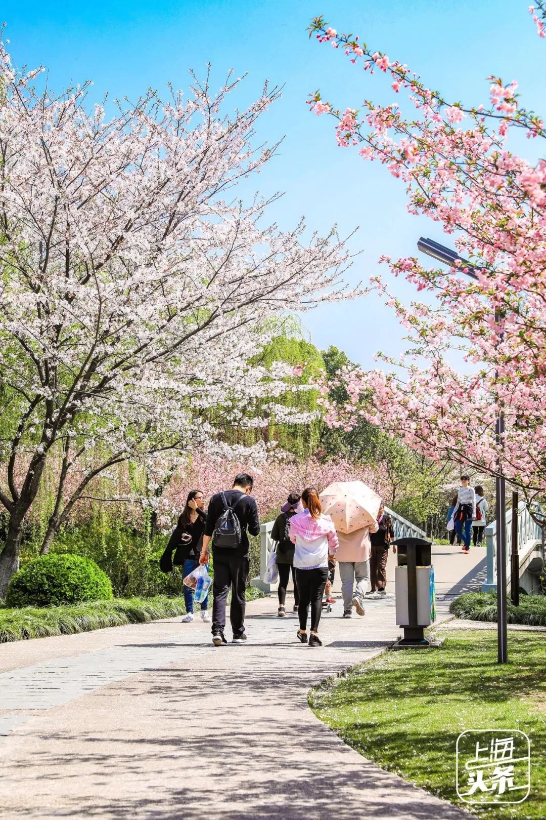 上海宋城免费景点,上海一日游攻略必去景点免费