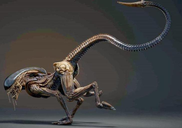 寮傚舰vs閾佽鎴樺＋娣卞害瑙ｈ,涔愰珮閾佽鎴樺＋vs寮傚舰