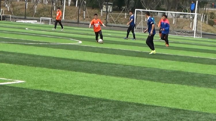 大连三鼎春天视频,大连三鼎春天怎么样