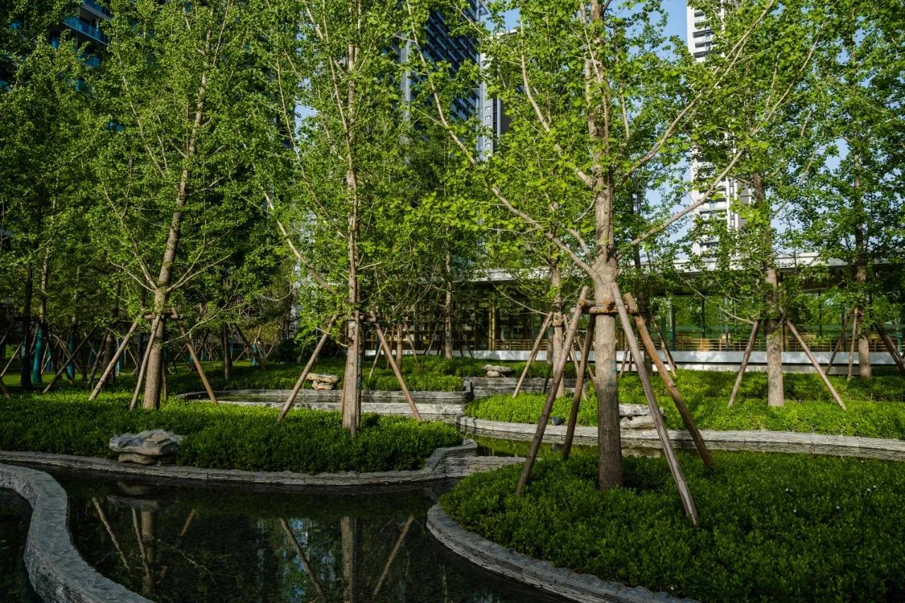 郑州北龙湖品质楼盘,郑州北区品质楼盘