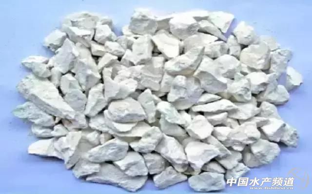 水产养殖熟石灰有什么缺点,石灰水产养殖作用科普