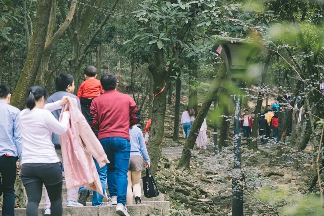坐11号线去深圳看海,11号线碧海湾看海