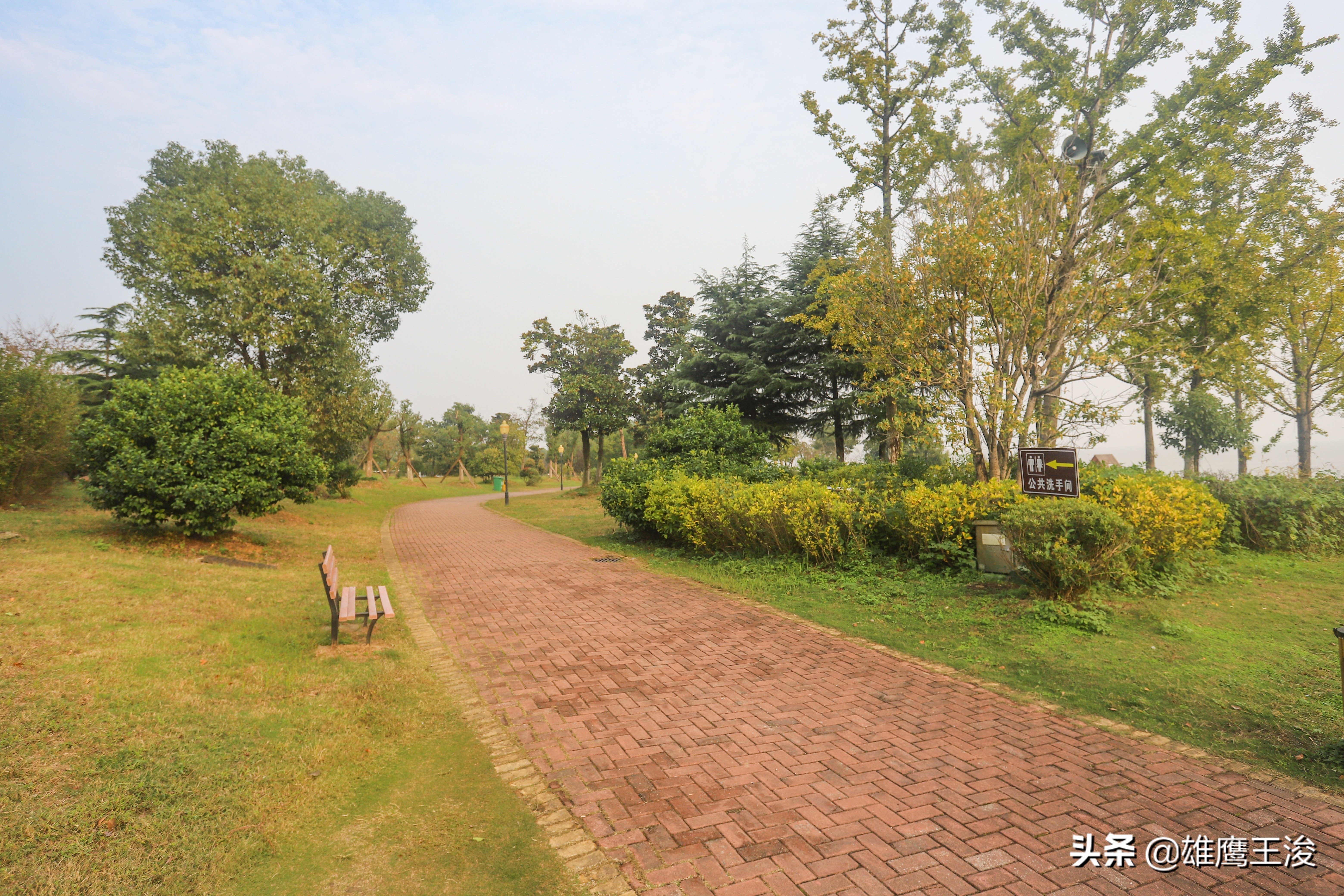 合肥11月份旅游景点大全最新,合肥十月最值得去旅游的四个地方