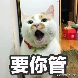 在马鞍山，没人能够战胜天气